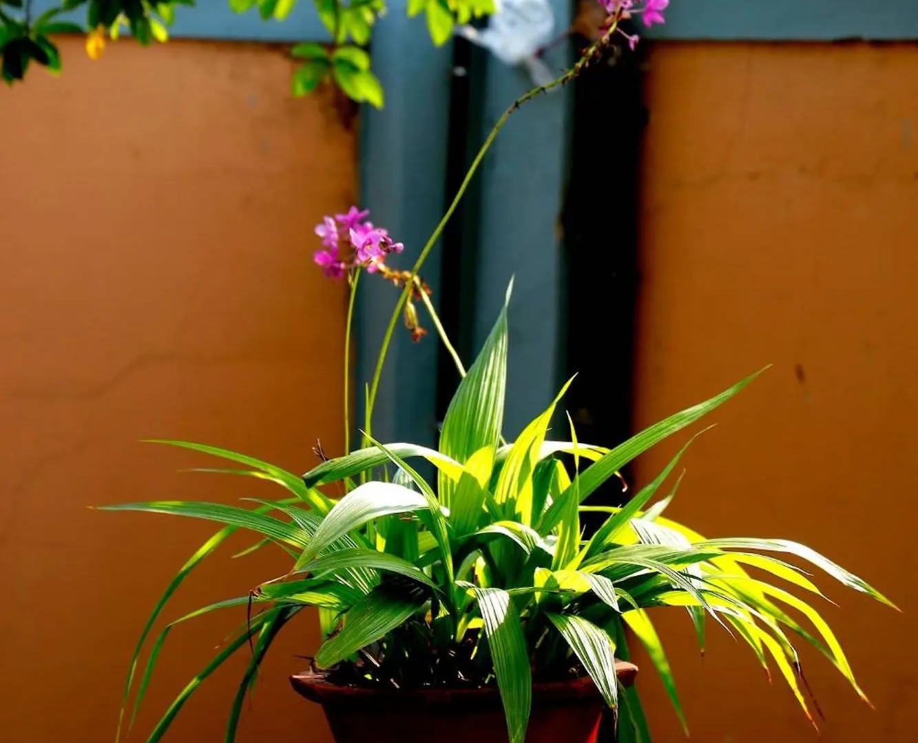 Alleppey Haven Homestay Near Backwaters Ground And First Floor Alappuzha Prázdninový dům