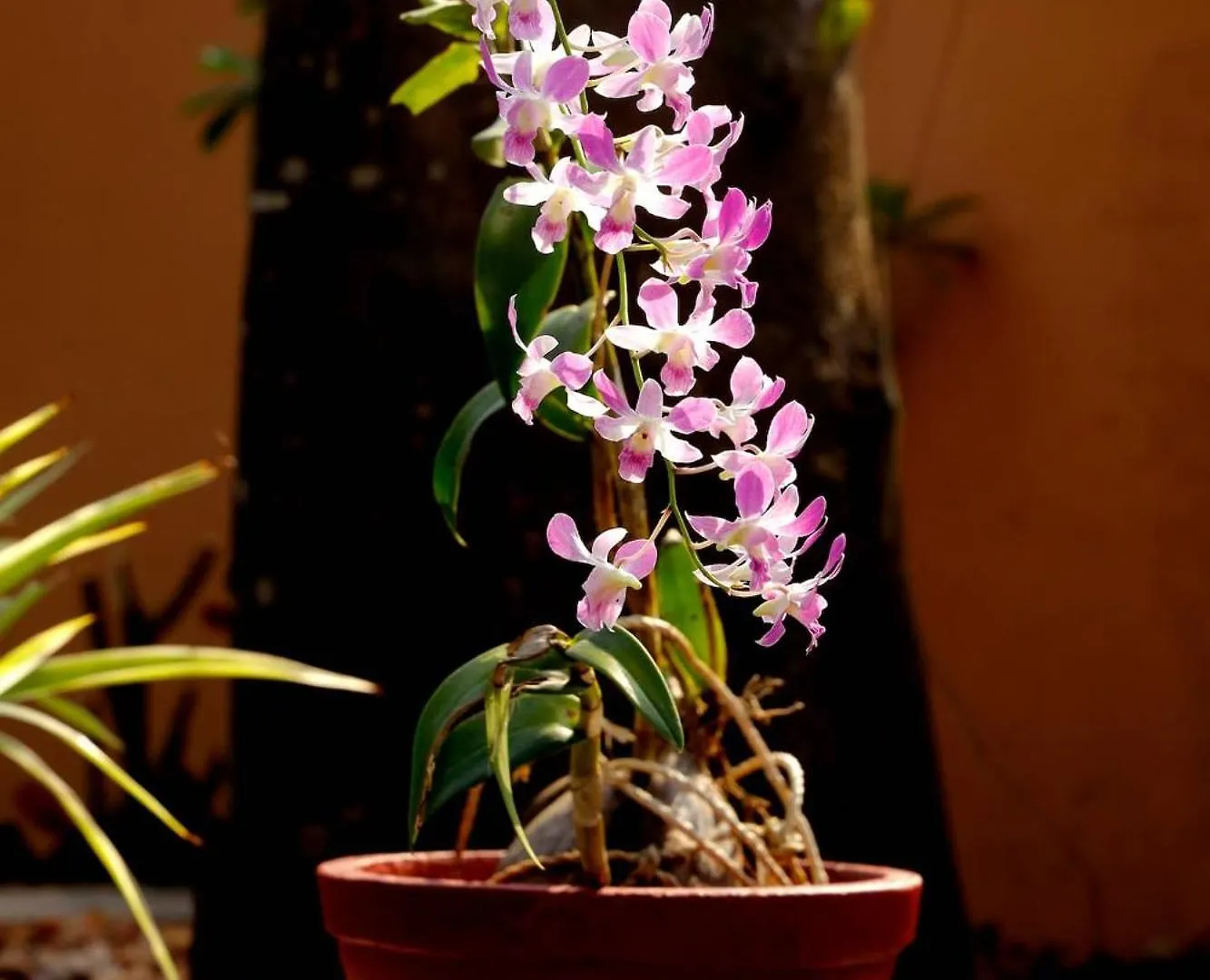 Alleppey Haven Homestay Near Backwaters Ground And First Floor Alappuzha